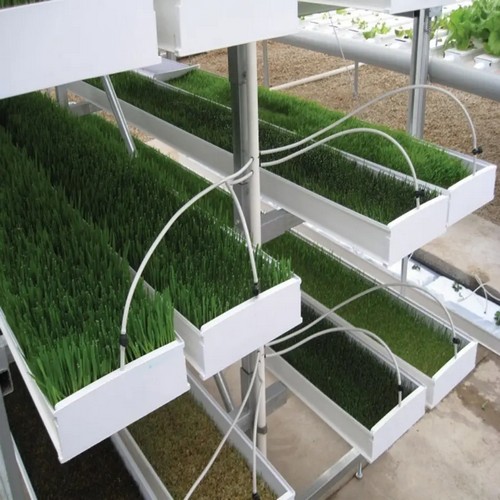 Pot growing systems from G AND N FORTUNE LIMITED: hydroponic equipment