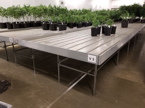 G AND N FORTUNE LIMITED's 4x8 ebb and flow tray setup: complete hydroponic system gear.
