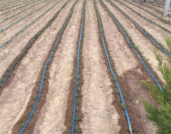 Gated pipe irrigation by G AND N FORTUNE LIMITED, for hydroponic growth.