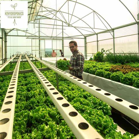Deep water culture hydroponic system by G AND N FORTUNE LIMITED.