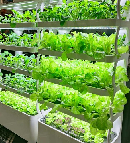 G AND N FORTUNE LIMITED’s pot growing systems offer versatility for various plants.