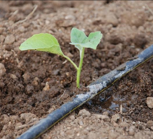 Drip irrigation hose pipe from G AND N FORTUNE LIMITED, boosting hydroponics.