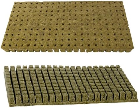 G AND N FORTUNE LIMITED offers farmer seed and nursery for hydroponics.