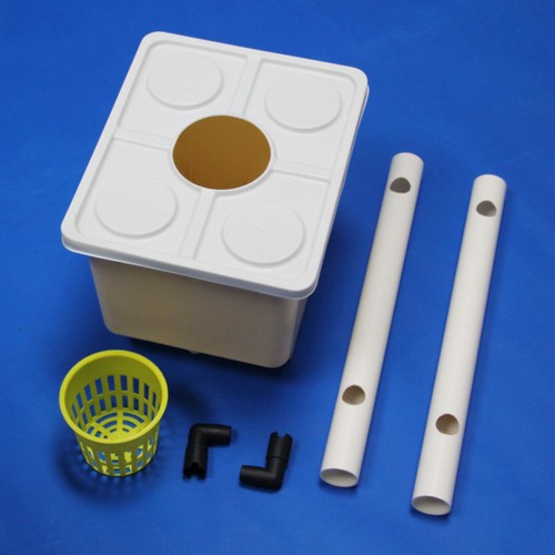 G AND N FORTUNE LIMITED's galvanized bucket planter for hydroponics.