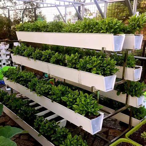 Cannabis indoor grow system by G AND N FORTUNE LIMITED hydro.