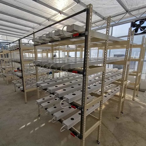 G&N’s aeroponic grow system drives hydro efficiency.