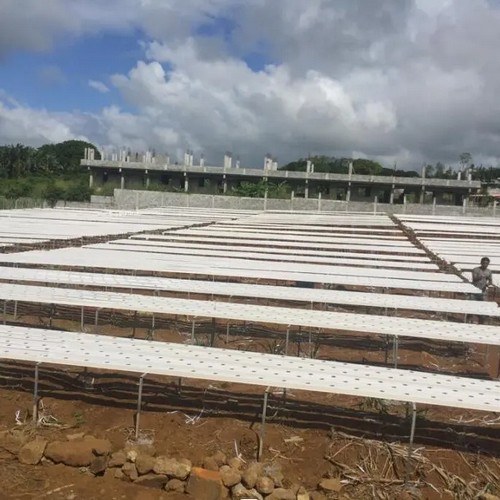 G AND N FORTUNE LIMITED’s drip system hydroponics ensures efficient water usage.