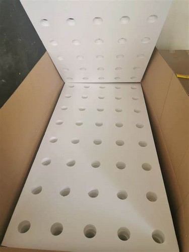 G AND N FORTUNE LIMITED's inflatable floating raft for hydroponics.