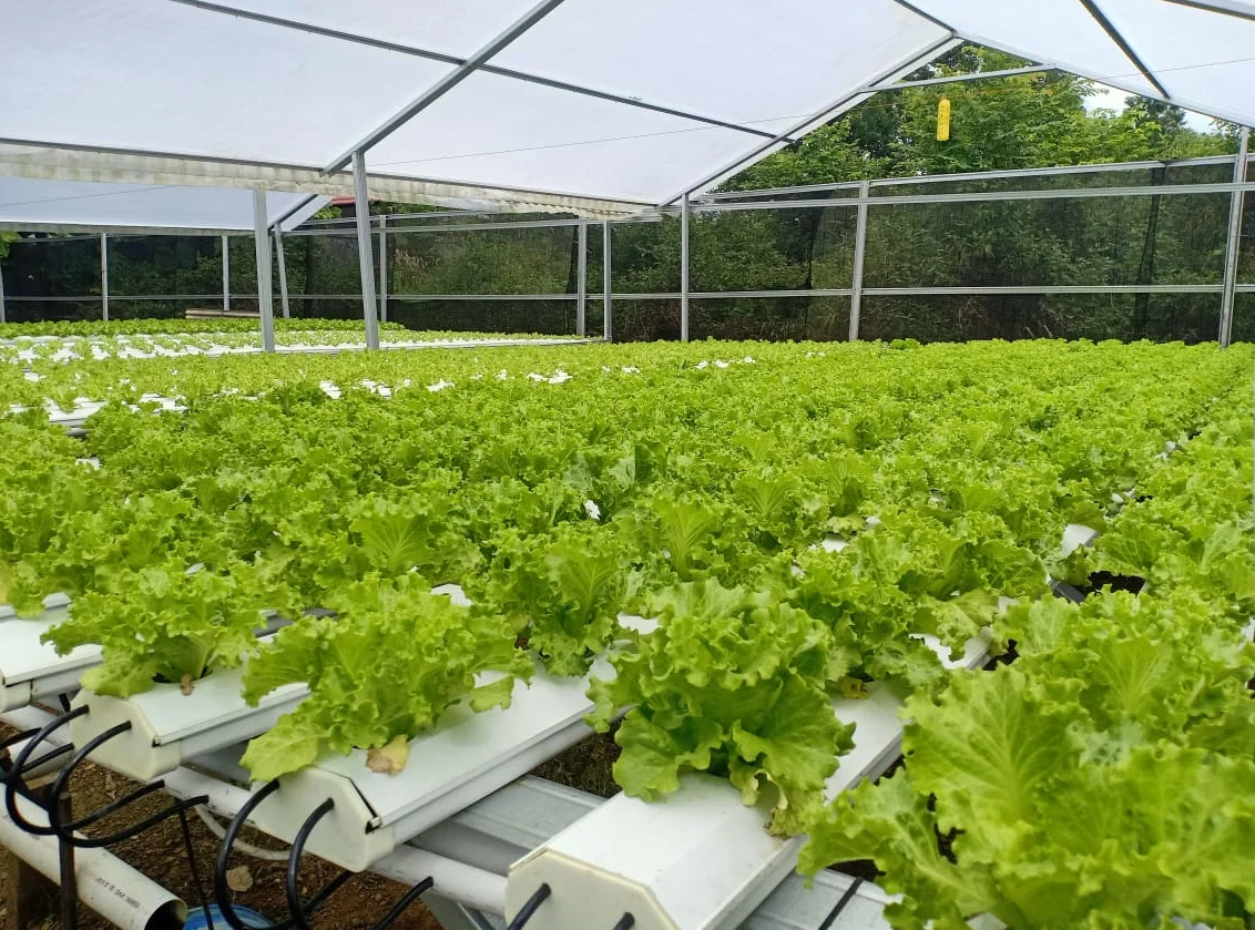 Gardyn hydroponic system from G AND N FORTUNE LIMITED.