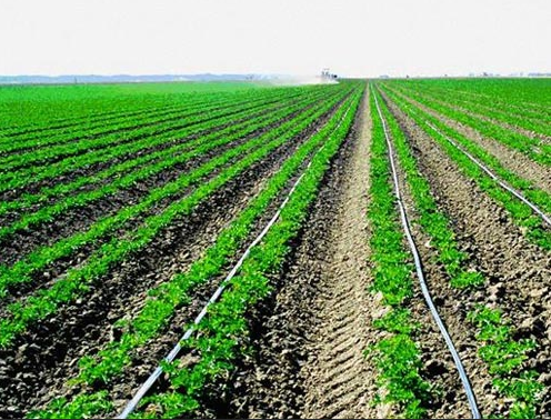 Choose G&N HDPE pipe sizes for your hydroponics.