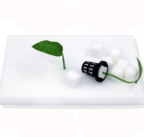 G AND N FORTUNE LIMITED's growing seeds in sponges for hydro.