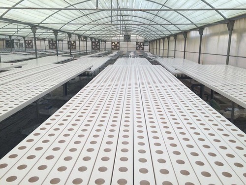 G AND N FORTUNE LIMITED's dutch bucket hydroponic system.