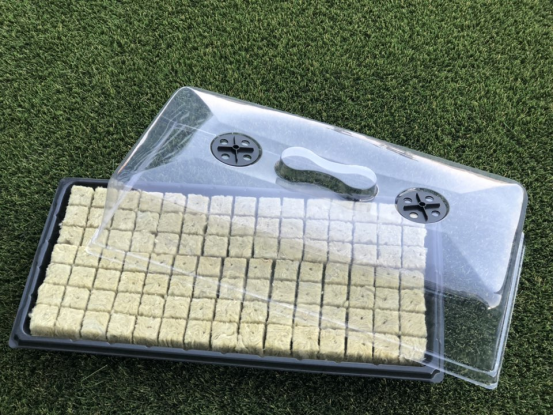 G AND N FORTUNE LIMITED’s seed tray with dome creates the ideal hydroponic seed environment.