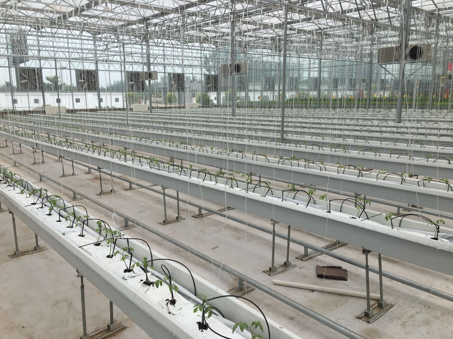 G AND N FORTUNE LIMITED's high - performance hydroponic growing systems.