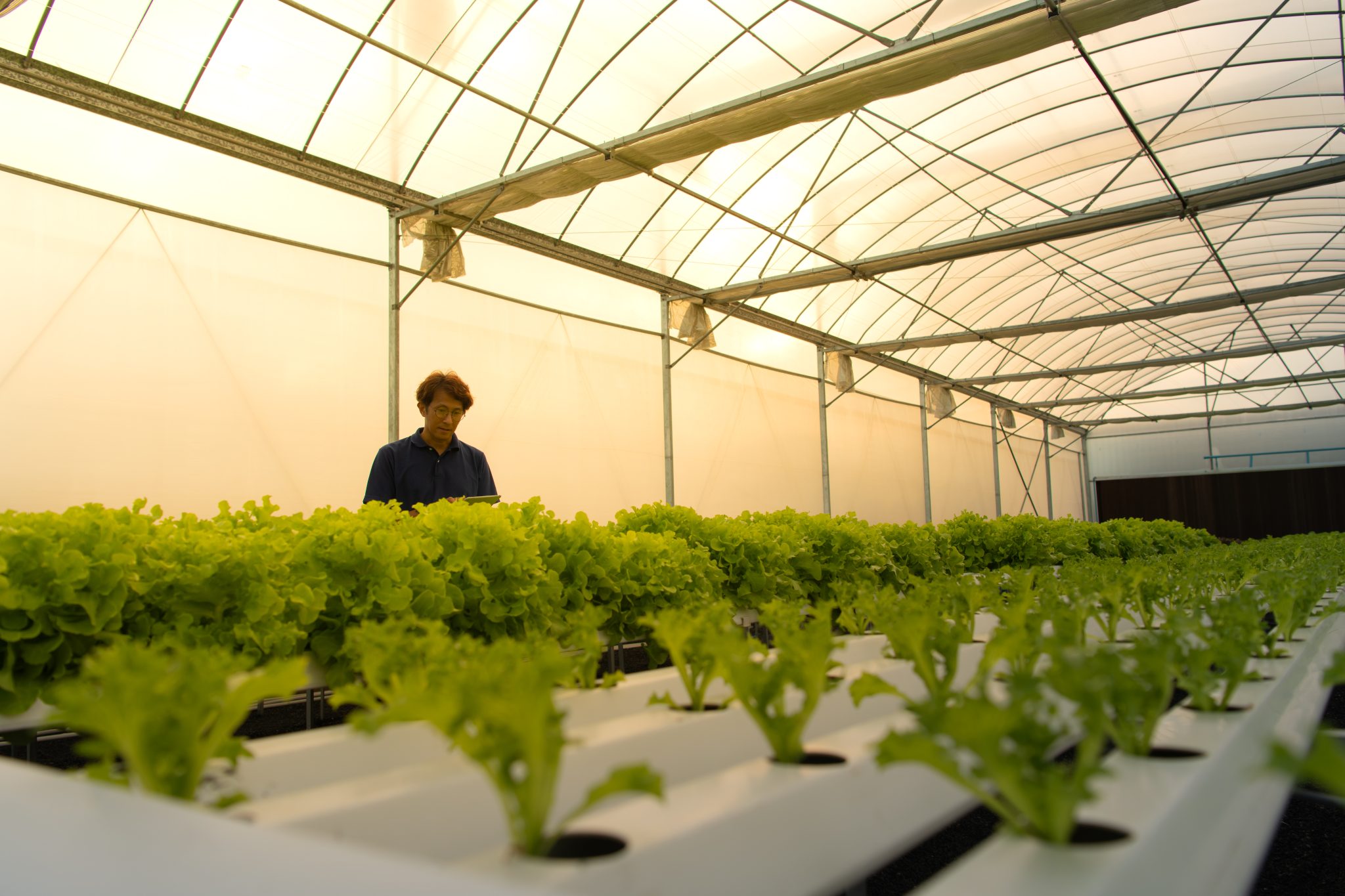 Hydroponic system grow kit by G AND N FORTUNE LIMITED.
