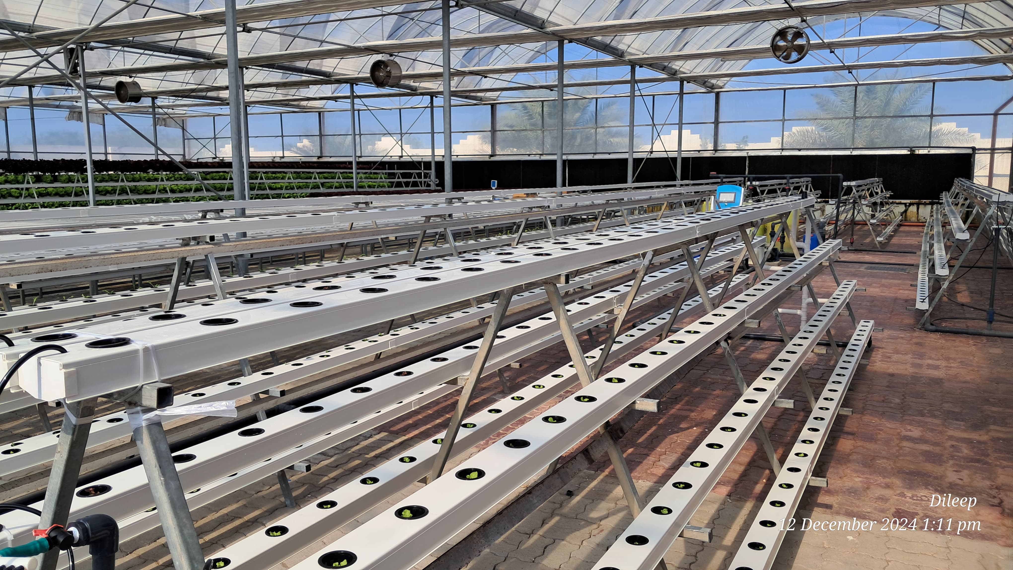 Hydroponic wick system by G AND N FORTUNE LIMITED.