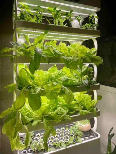 . G AND N FORTUNE LIMITED’s best indoor hydroponic grow system