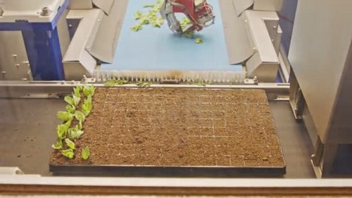 G AND N FORTUNE LIMITED's seed cleaning machine for hydroponics.
