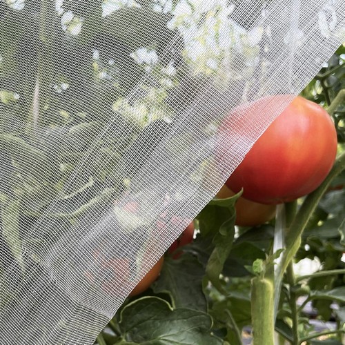 G AND N FORTUNE LIMITED's anti insect net for greenhouse price in hydro.