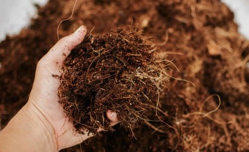 G AND N FORTUNE LIMITED's cocopeat powder online for hydro.