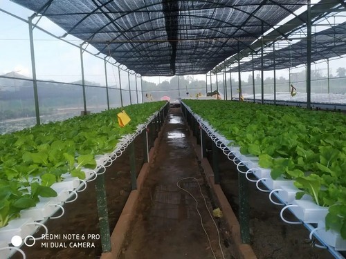 Bright full spectrum led hydroponic grow light bar by G AND N FORTUNE LIMITED