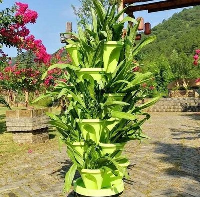 Tall Flower Pots by G AND N FORTUNE LIMITED are perfect for hydroponic plant setups.