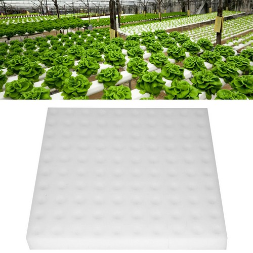 G AND N FORTUNE LIMITED's grow sponges near me for hydro.