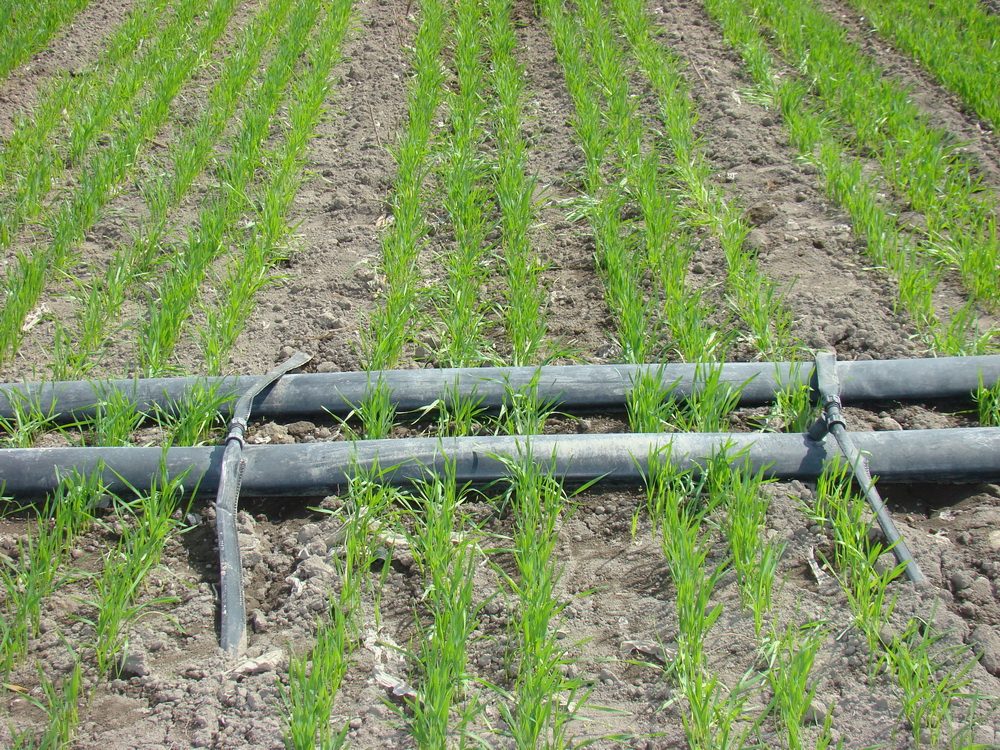 G&N double wall HDPE pipe for hydroponic durability.