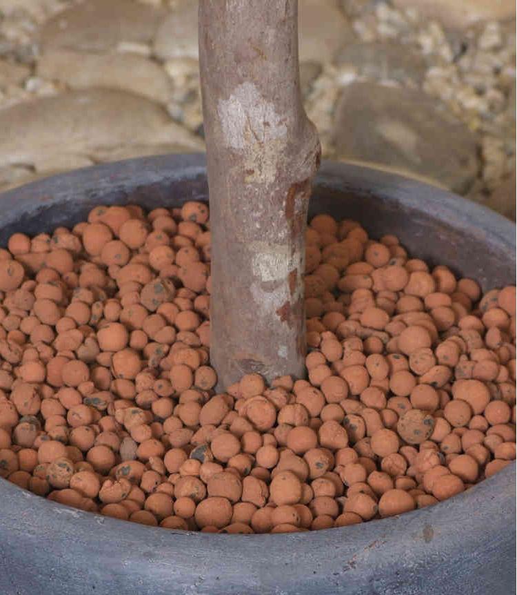 G AND N FORTUNE LIMITED's hydroton clay pebbles for hydro.