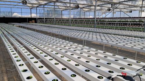 G AND N FORTUNE LIMITED’s hydroponics grow systems
