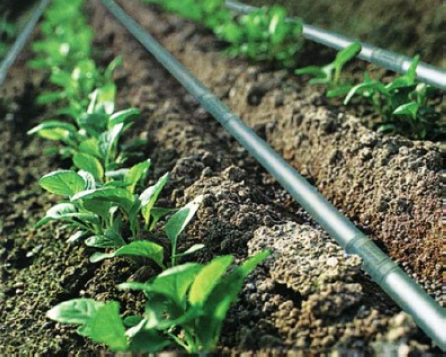 G AND N FORTUNE LIMITED's pvc irrigation pipe for efficient hydroponics.