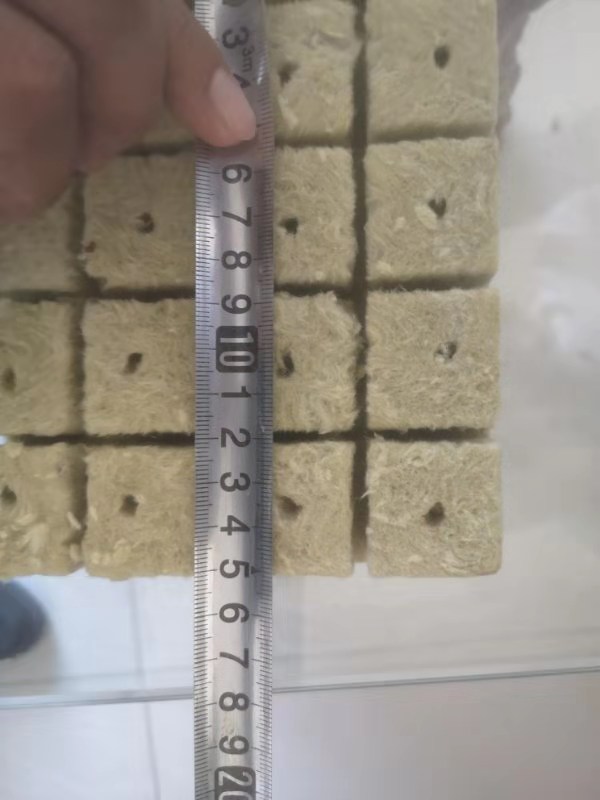 G AND N FORTUNE LIMITED has hydroponic gardens for hydro