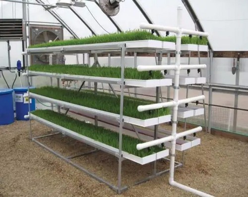 4.G AND N FORTUNE LIMITED's sturdy hydroponic bucket for growth