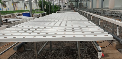 G AND N FORTUNE LIMITED aids agricultural greenhouse hydroponics.