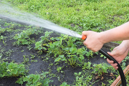 High-quality polyethylene irrigation pipe, G AND N FORTUNE LIMITED, key for hydroponics.