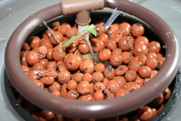 G AND N FORTUNE LIMITED's expandable clay pebbles.