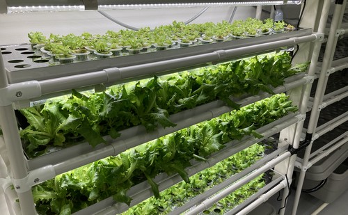 reliable hydroponics growing systems for year-round harvests.