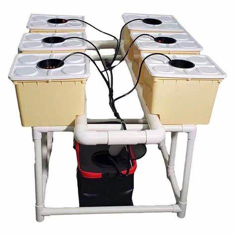 - G AND N FORTUNE LIMITED's hydroponic dutch bucket system: hydro tool.