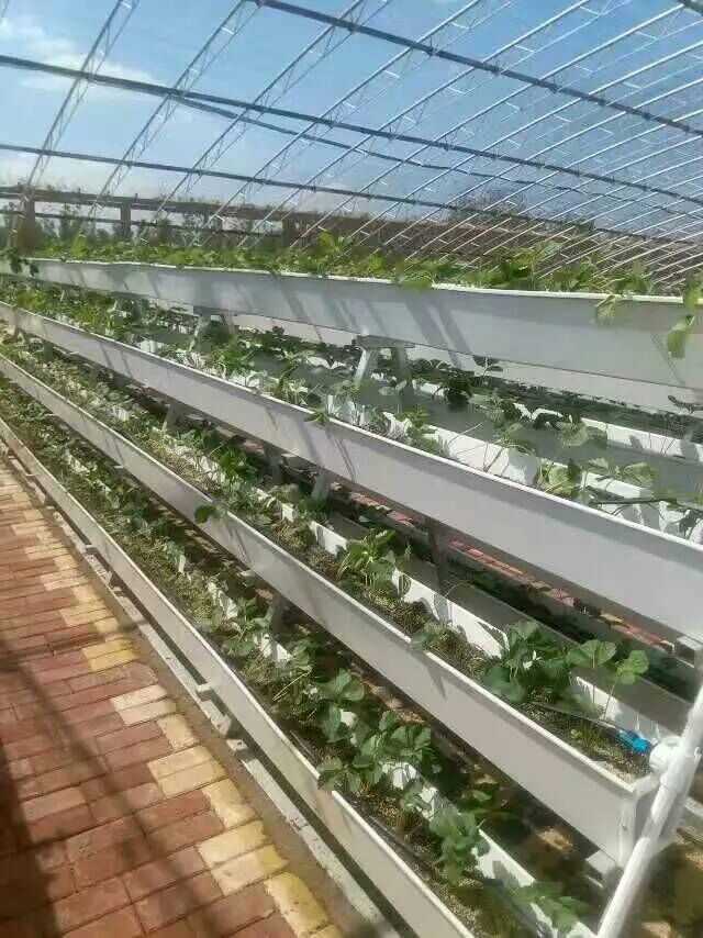 Best automatic watering system for grow tent by G AND N FORTUNE LIMITED.