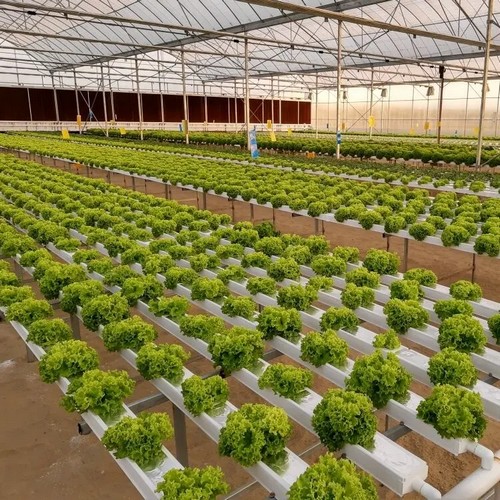 G AND N FORTUNE LIMITED tools up garden hydroponics.