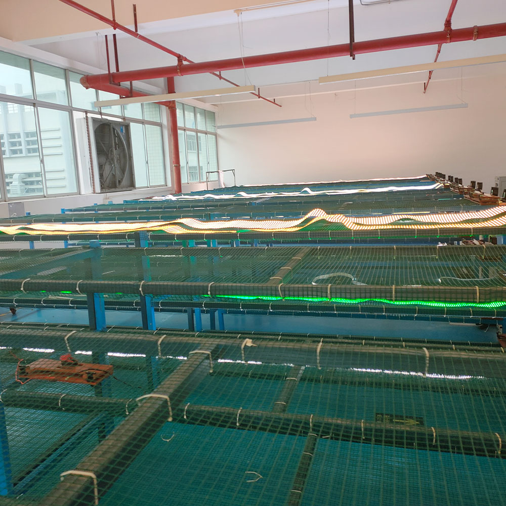 led strip manufacturer