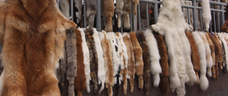 Are leather bags cruel? Explore the ethics, environmental impact, and alternatives to traditional leather in today’s conscious fashion world.