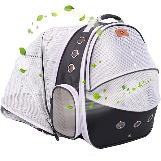 cat travel backpack