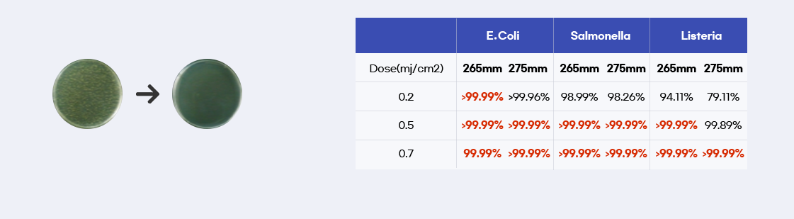 Industrial UV LED system used for surface disinfection and conveyor sterilization