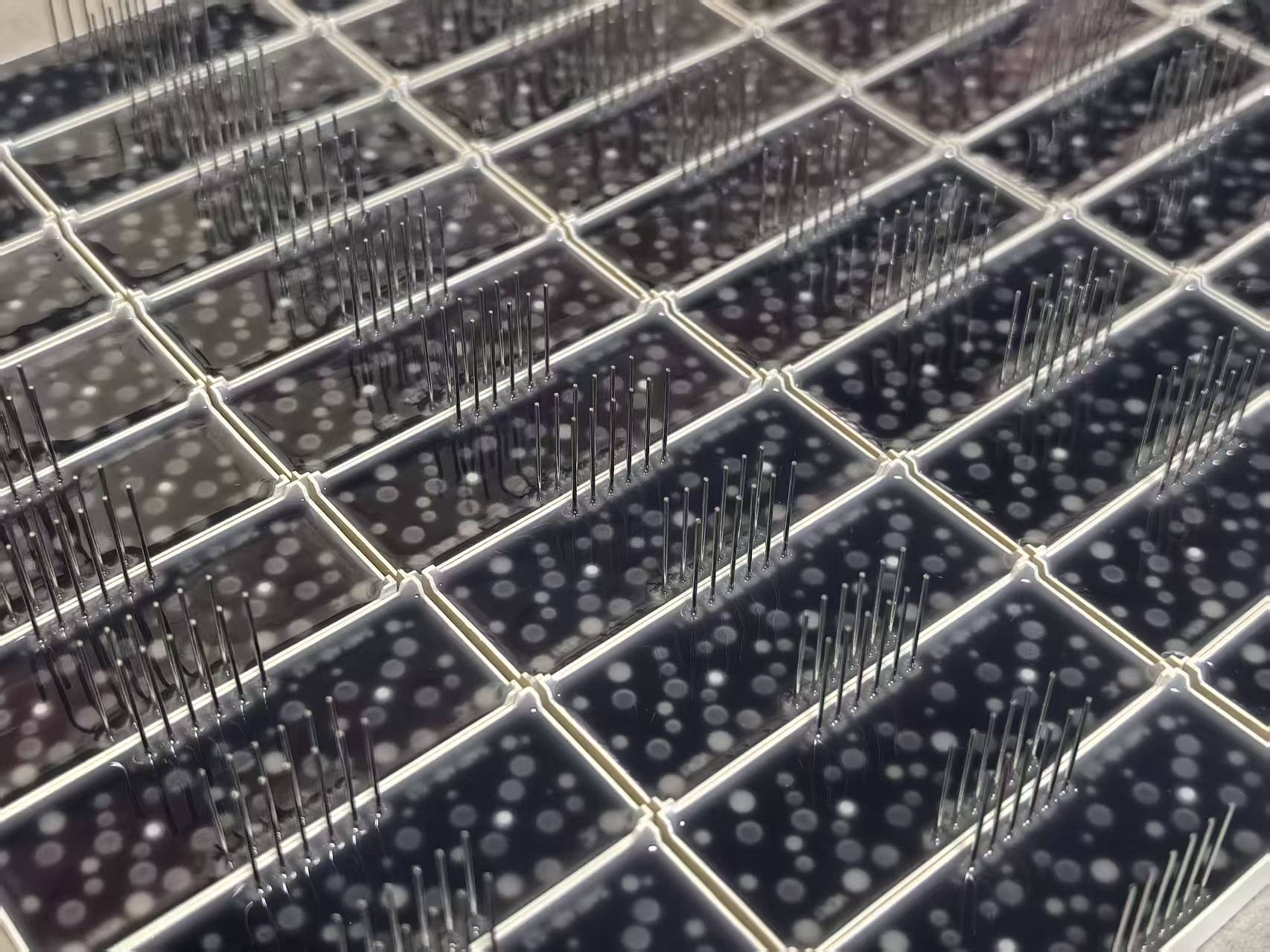 OEM LED display samples with different brightness and color options