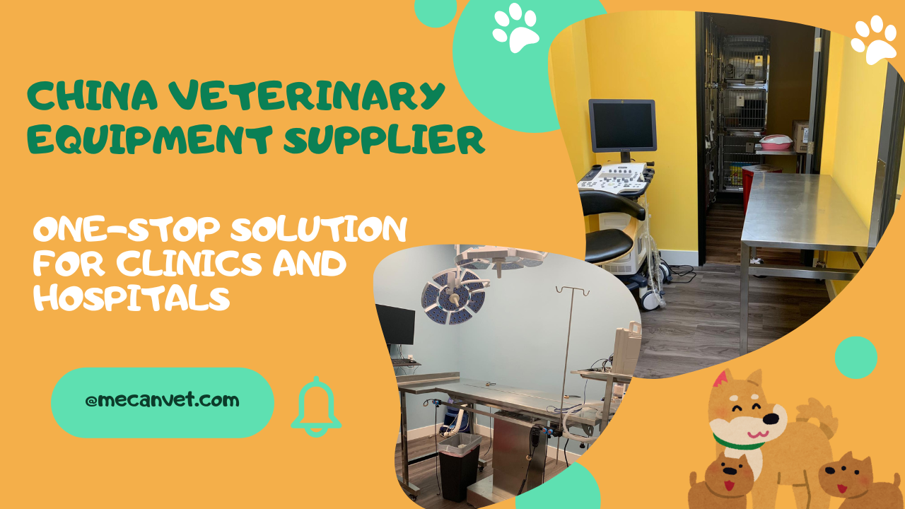China Veterinary Equipment Supplier | One-Stop Solution for Clinics and Hospitals