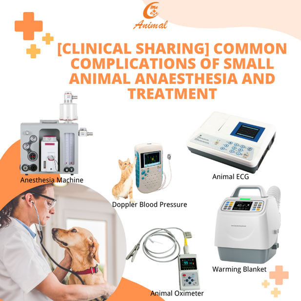 dive-into-veterinary-anesthesia-machine