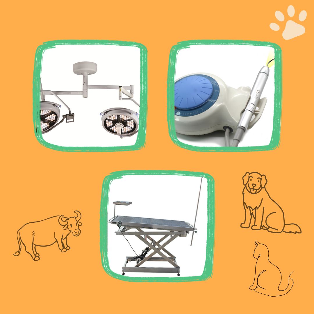 One-stop veterinary suite featuring a dental scaling unit, electric surgical table, and shadowless LED lamps from Guangzhou.