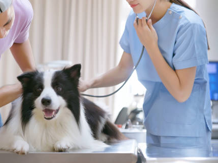 Assess Overall Health