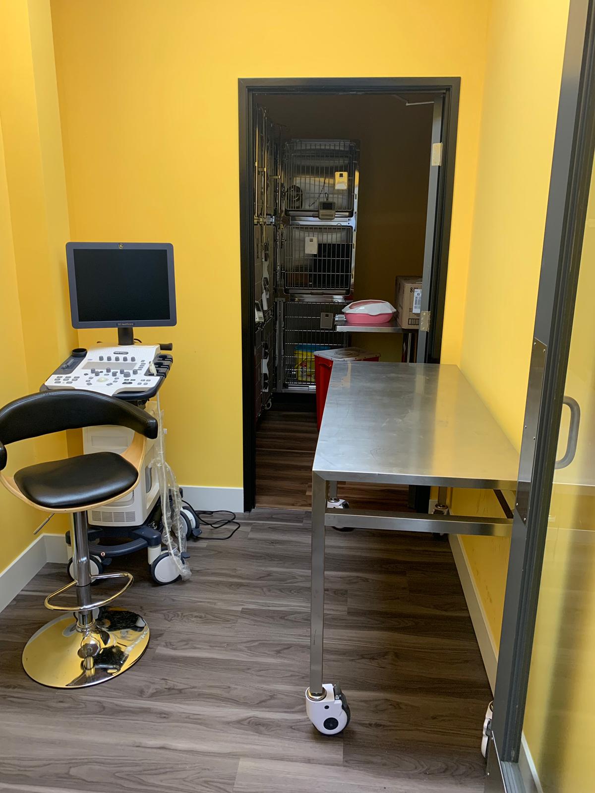 mecanvet-trolley-ultraound-machine-in-vet-hospital